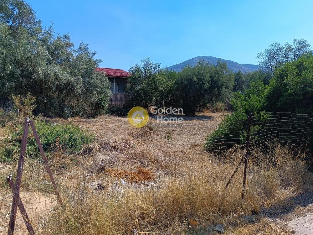 Οικόπεδο στην Γαλάζια ακτή, Καλύβια Θορικού — Φωτογραφία 6 από 7