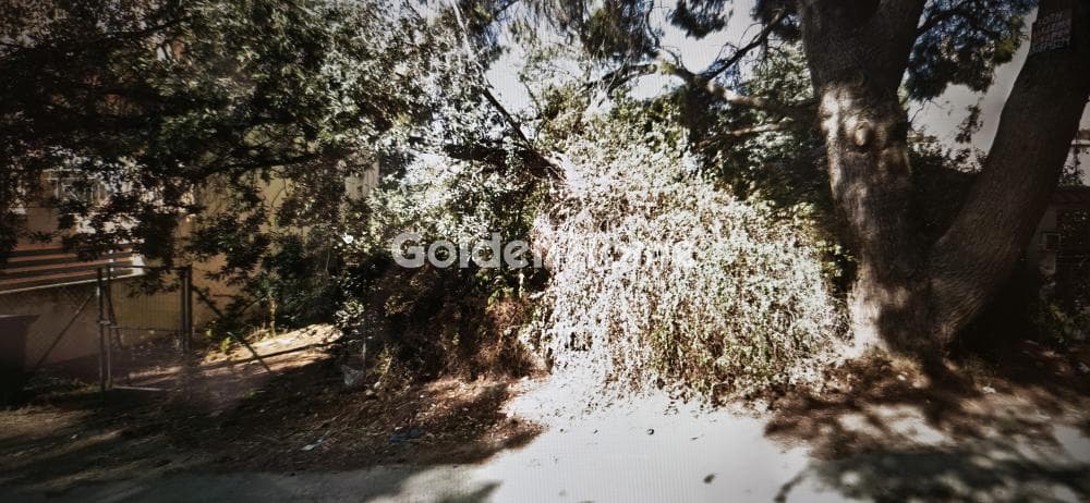 Οικόπεδο στην Αδάμες (Οικισμός Γράμμος - Φοίνικας), Κηφισιά — Φωτογραφία 1 από 2