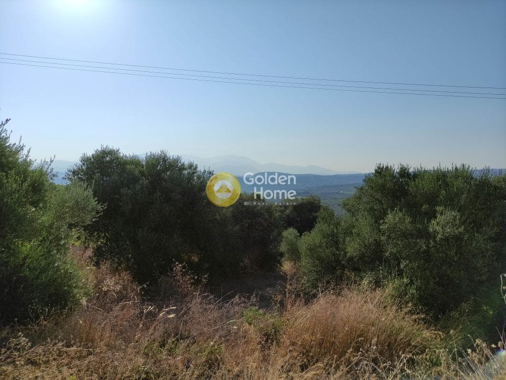 Οικόπεδο στην Κουνάβοι, Αρχάνες — Φωτογραφία 3 από 7