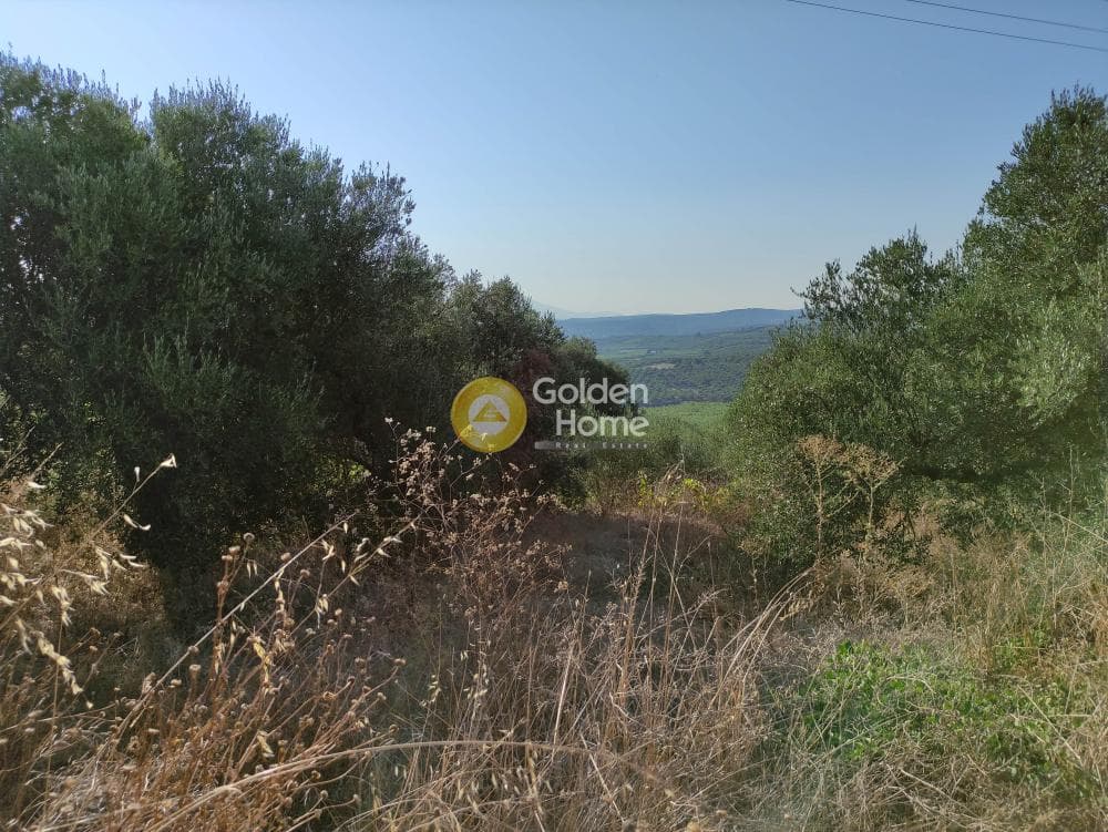 Οικόπεδο στην Κουνάβοι, Αρχάνες — Φωτογραφία 6 από 7