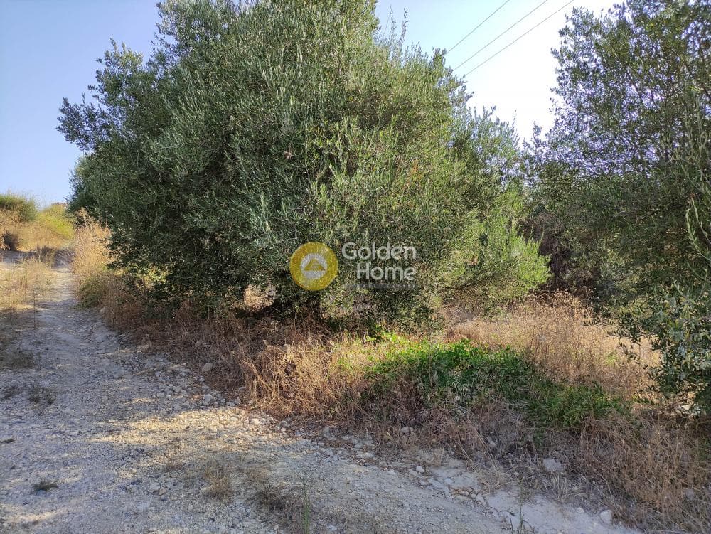 Οικόπεδο στην Κουνάβοι, Αρχάνες — Φωτογραφία 2 από 7