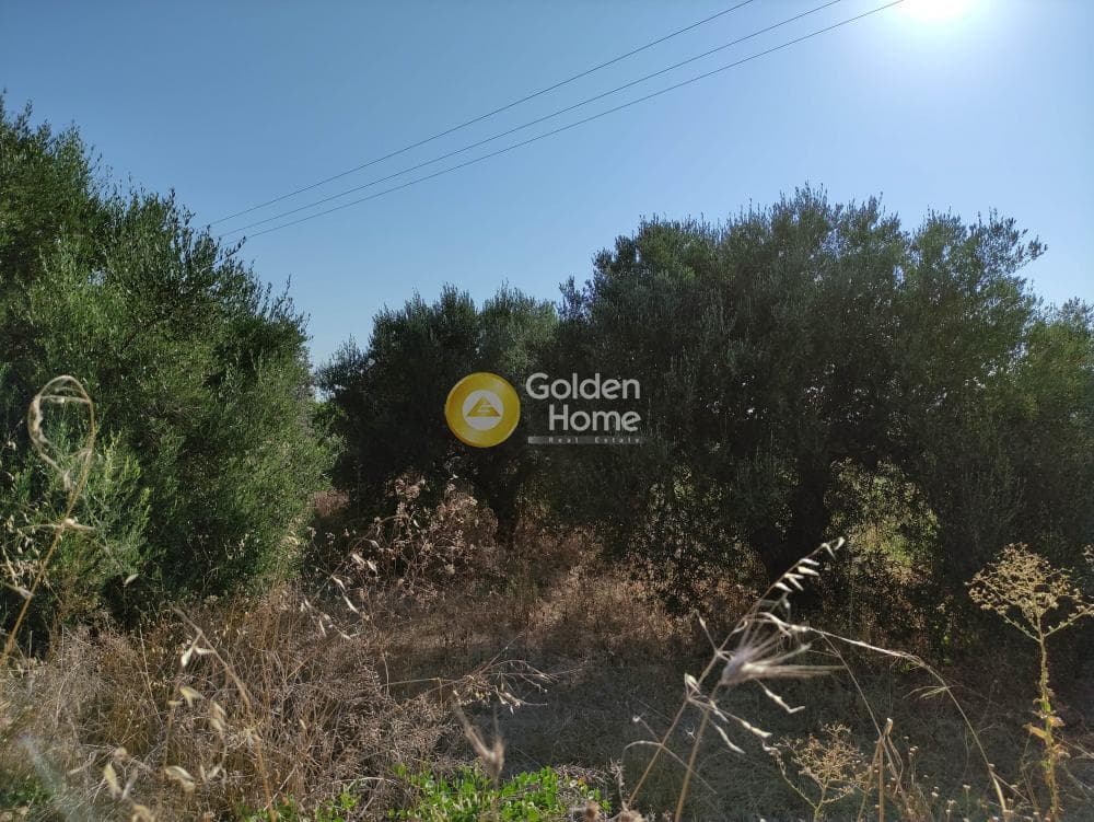 Οικόπεδο στην Κουνάβοι, Αρχάνες — Φωτογραφία 7 από 7