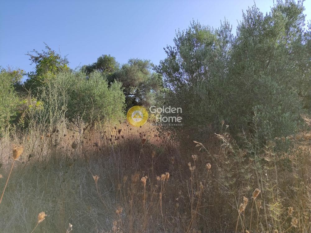 Οικόπεδο στην Καταλαγάρι, Αρχάνες — Φωτογραφία 2 από 3