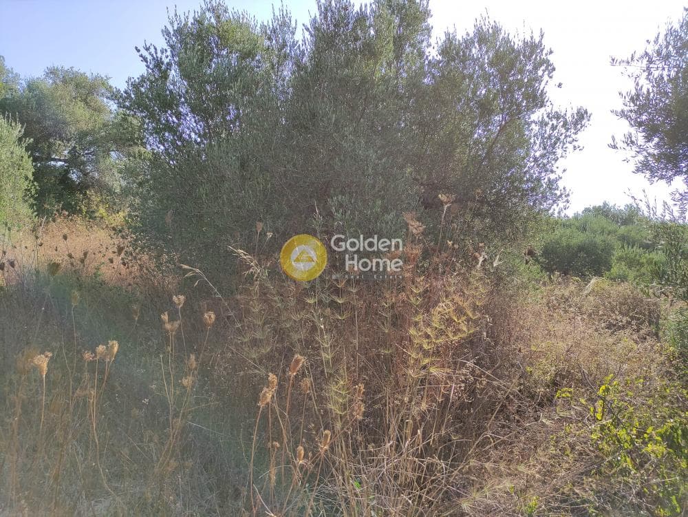 Οικόπεδο στην Καταλαγάρι, Αρχάνες — Φωτογραφία 3 από 3