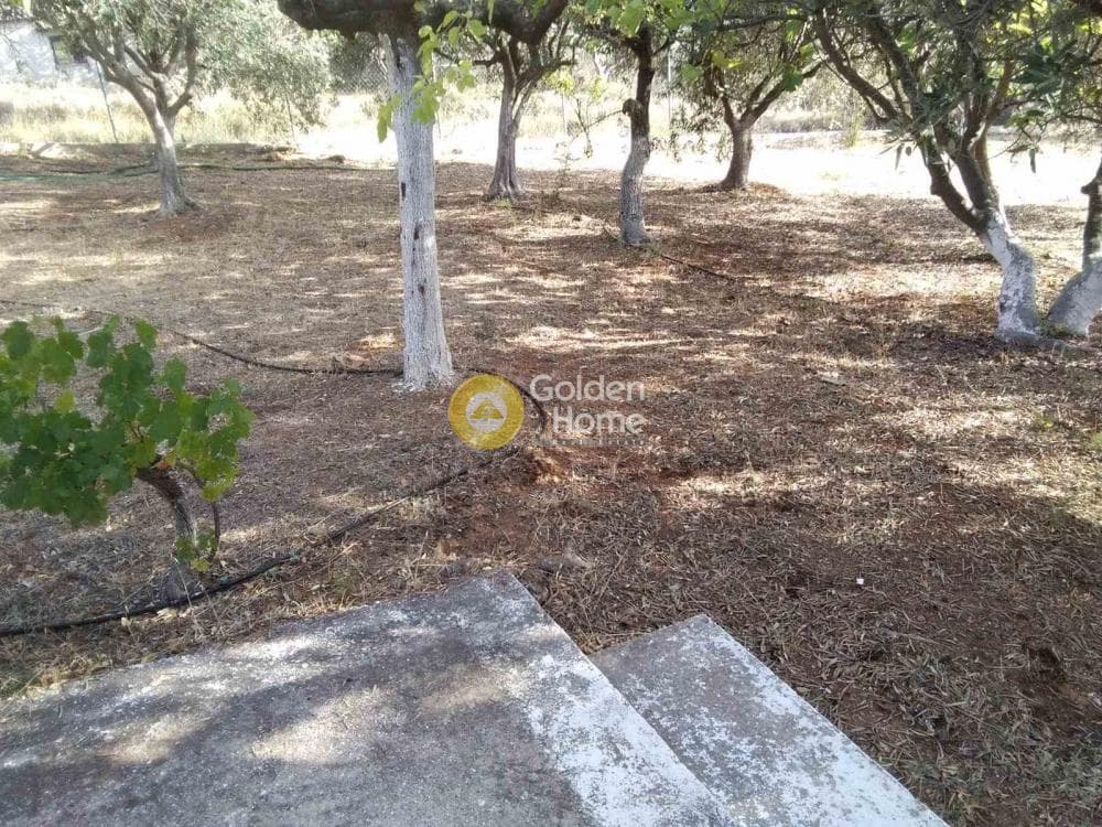 Μονοκατοικία στην Κέντρο, Μαραθώνας — Φωτογραφία 2 από 9