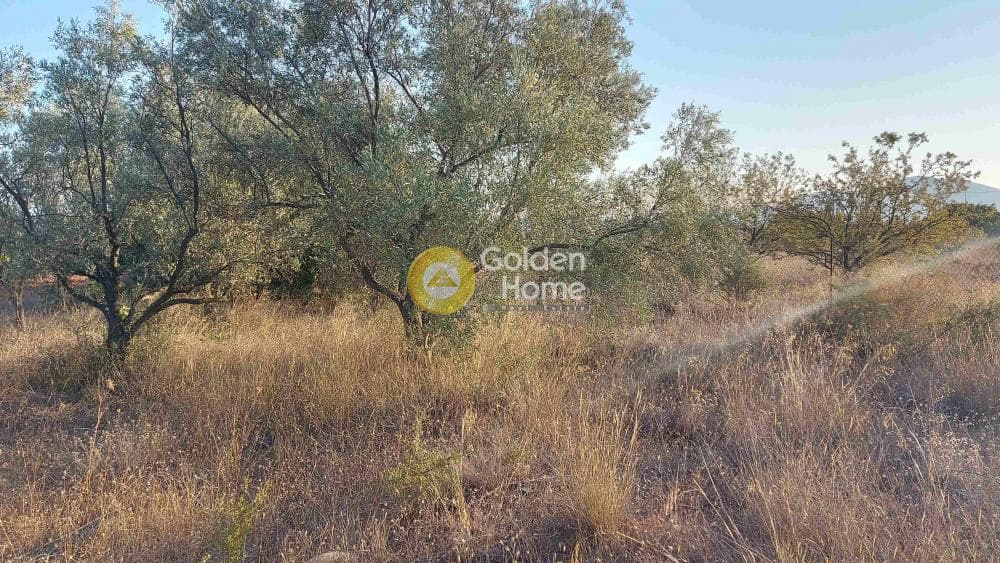 Αγροτεμάχιο στην Καρελλάς, Παιανία — Φωτογραφία 5 από 10