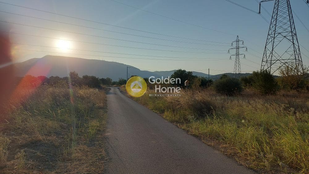 Αγροτεμάχιο στην Καρελλάς, Παιανία — Φωτογραφία 7 από 10