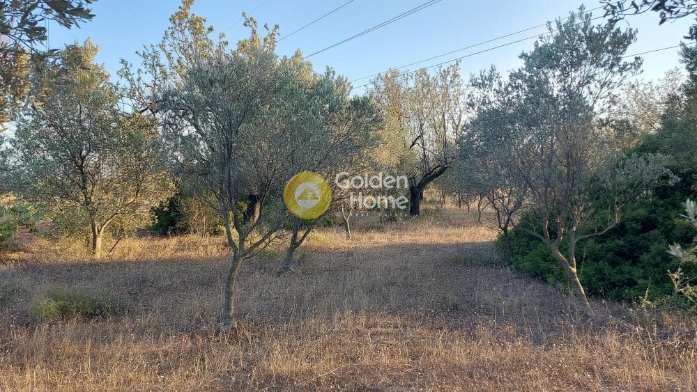 Αγροτεμάχιο στην Καρελλάς, Παιανία — Φωτογραφία 10 από 10