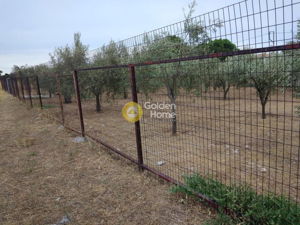 Αγροτεμάχιο στην Μεγάλα Σχοινία Α, Αχαρνές — Φωτογραφία 2 από 12