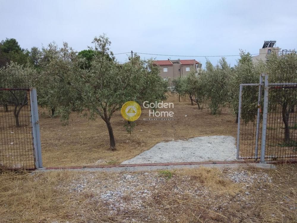 Αγροτεμάχιο στην Μεγάλα Σχοινία Α, Αχαρνές — Φωτογραφία 4 από 12