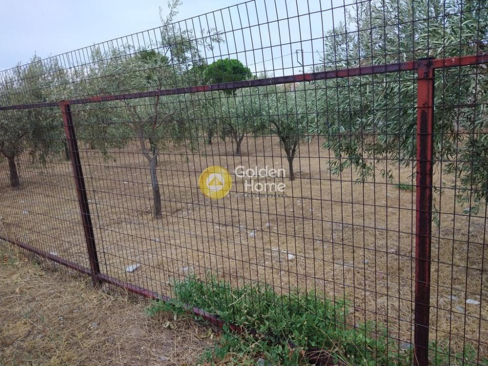 Αγροτεμάχιο στην Μεγάλα Σχοινία Α, Αχαρνές — Φωτογραφία 11 από 12