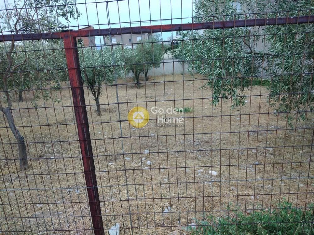 Αγροτεμάχιο στην Μεγάλα Σχοινία Α, Αχαρνές — Φωτογραφία 12 από 12