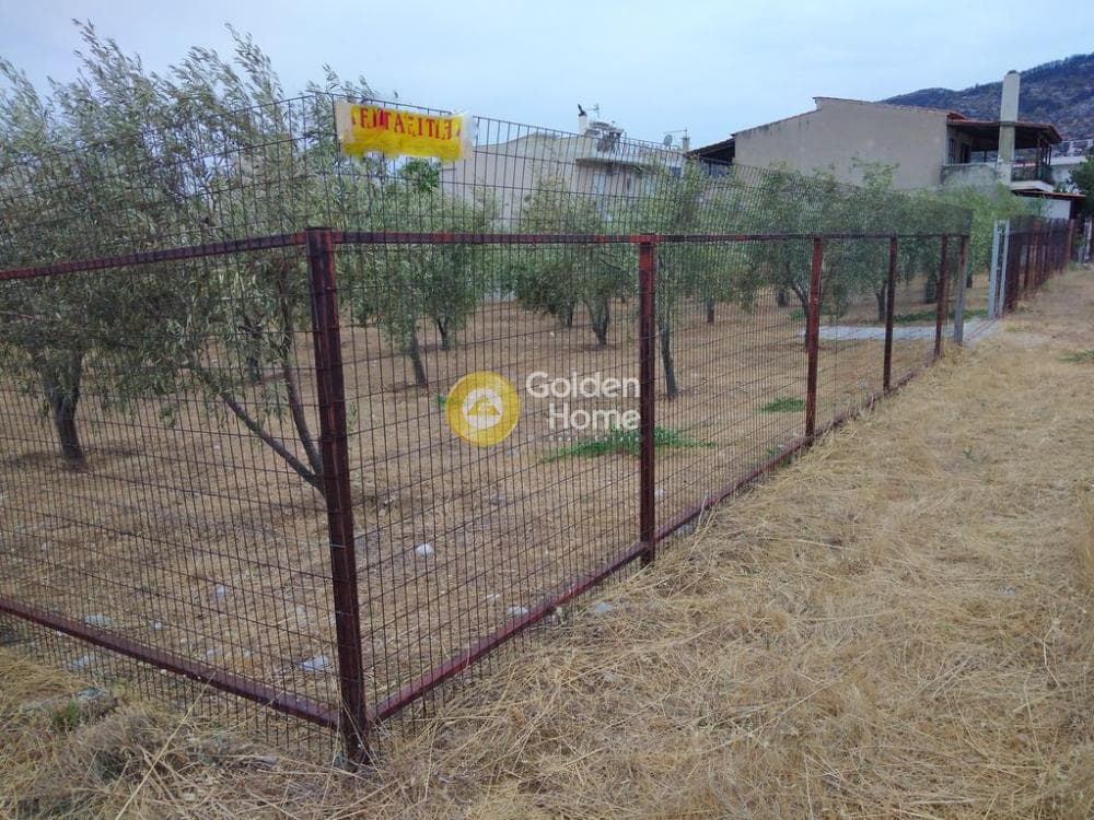 Αγροτεμάχιο στην Μεγάλα Σχοινία Α, Αχαρνές — Φωτογραφία 1 από 12