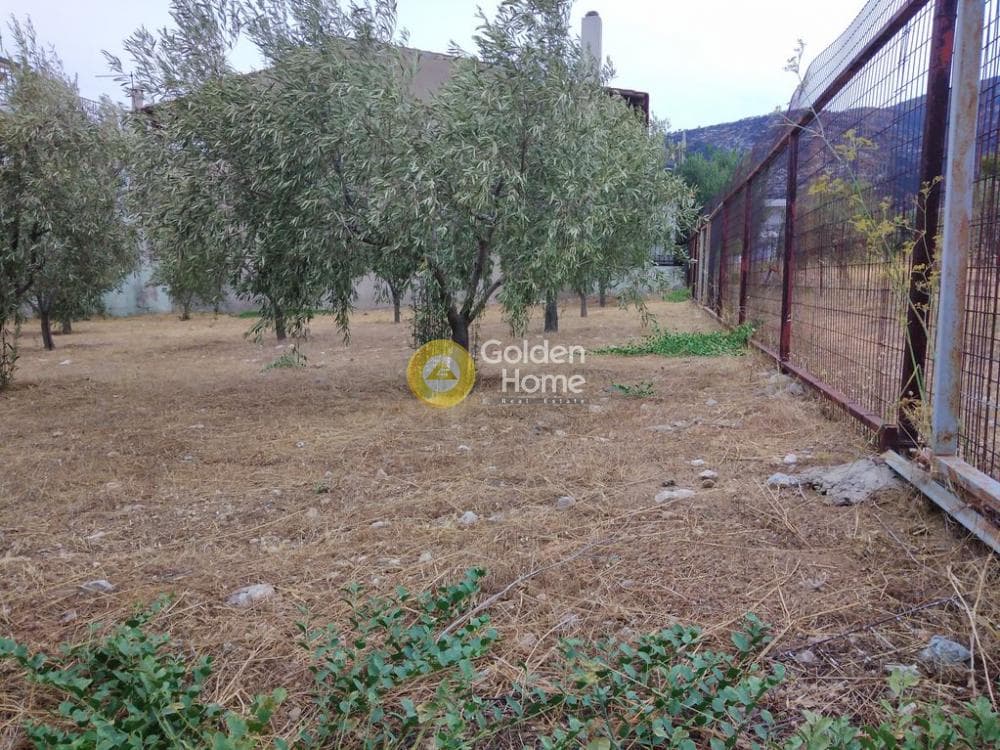 Αγροτεμάχιο στην Μεγάλα Σχοινία Α, Αχαρνές — Φωτογραφία 7 από 12