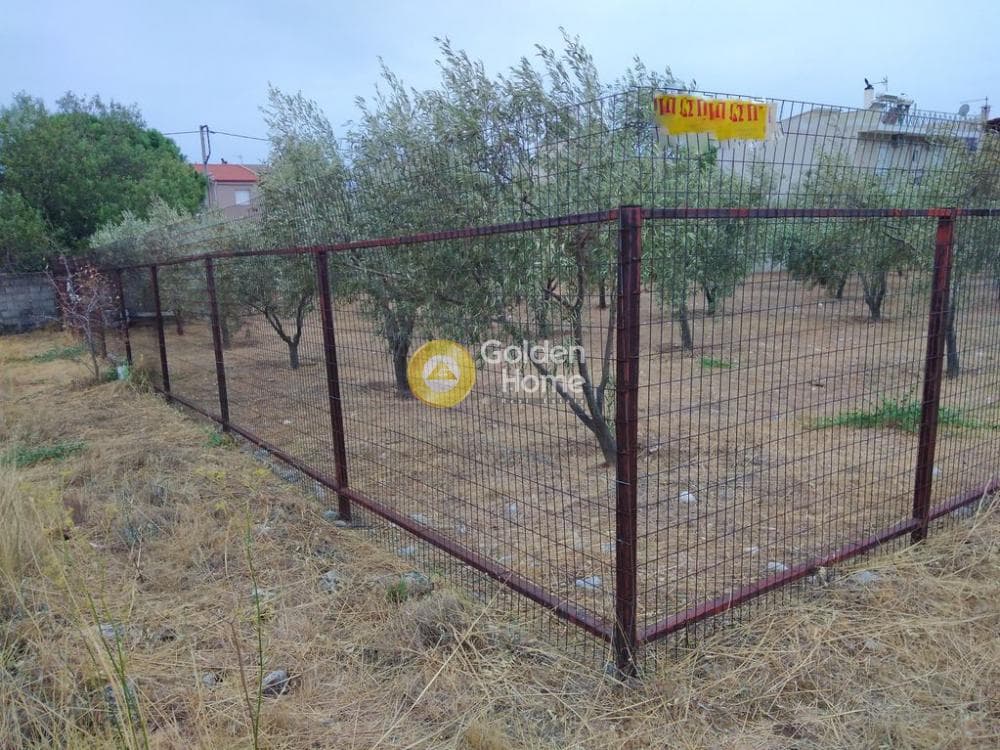 Αγροτεμάχιο στην Μεγάλα Σχοινία Α, Αχαρνές — Φωτογραφία 3 από 12