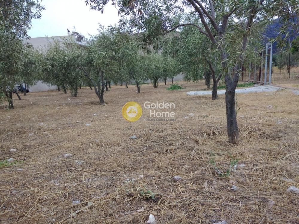 Αγροτεμάχιο στην Μεγάλα Σχοινία Α, Αχαρνές — Φωτογραφία 8 από 12