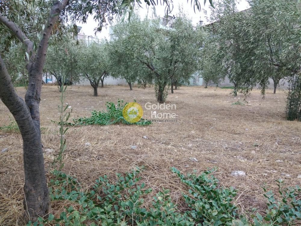 Αγροτεμάχιο στην Μεγάλα Σχοινία Α, Αχαρνές — Φωτογραφία 6 από 12