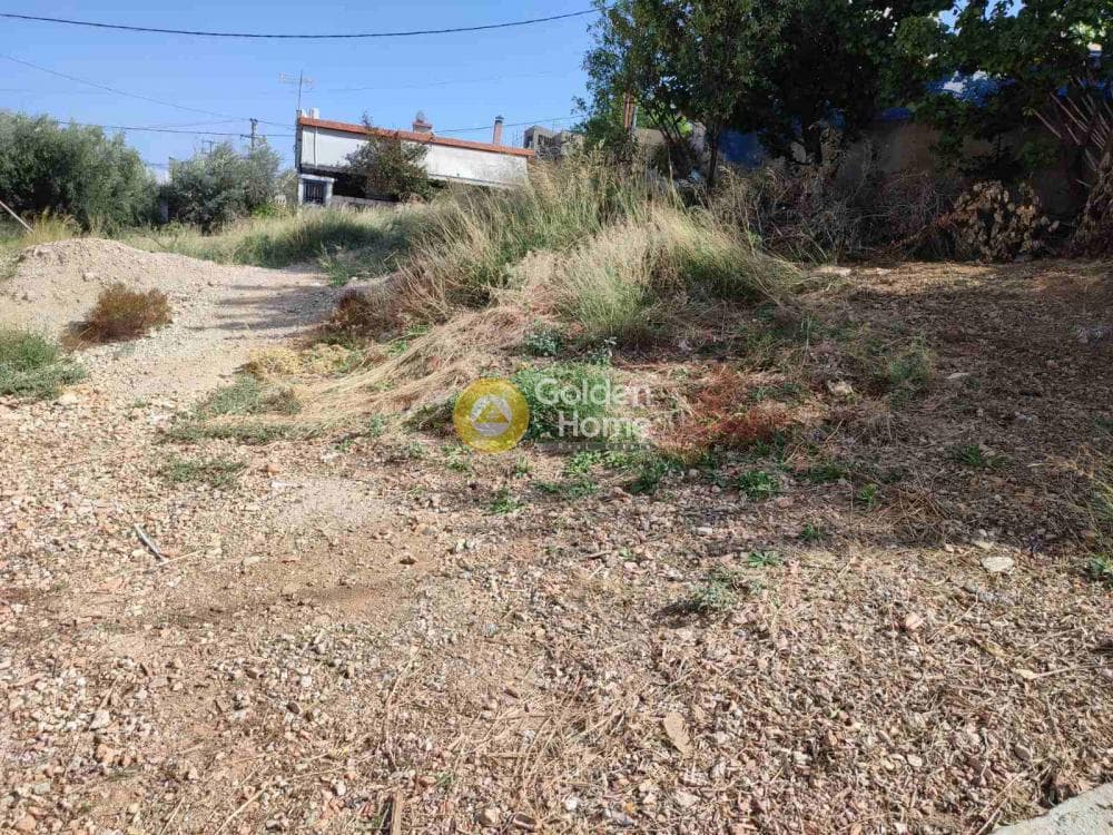 Οικόπεδο στην Νέα Ολυμπία, Καματερό — Φωτογραφία 3 από 3