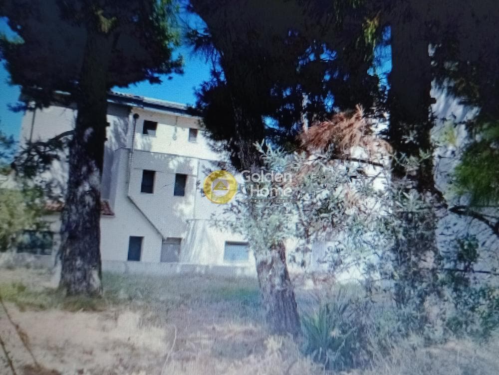 Building Plot in Anoixi, Anoixi — Photo 1 of 4