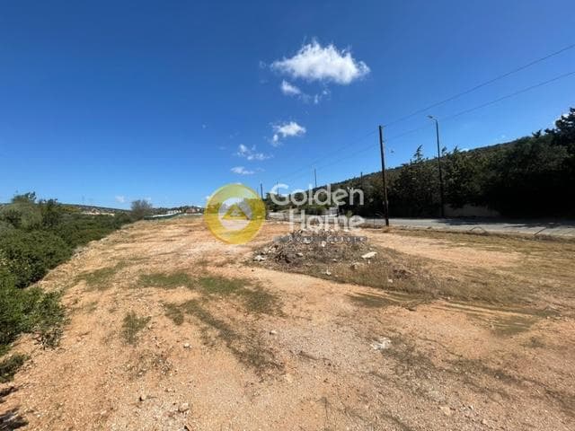 Parcel in Lamprika, Koropi — Photo 2 of 4