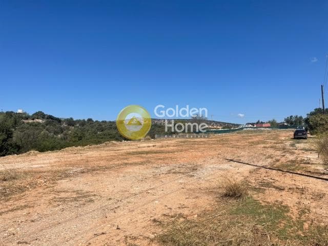 Parcel in Lamprika, Koropi — Photo 1 of 4