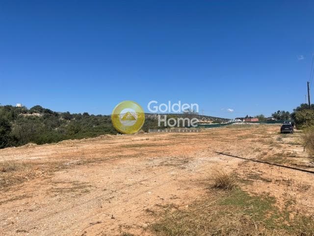 Parcel in Lamprika, Koropi — Photo 4 of 4