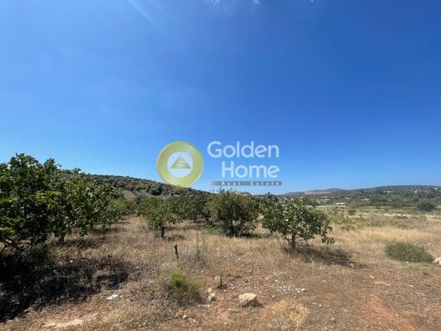 Parcel in Lamprika, Koropi — Photo 4 of 5