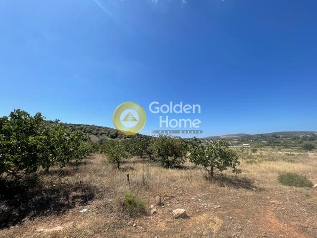 Parcel in Lamprika, Koropi — Photo 2 of 5