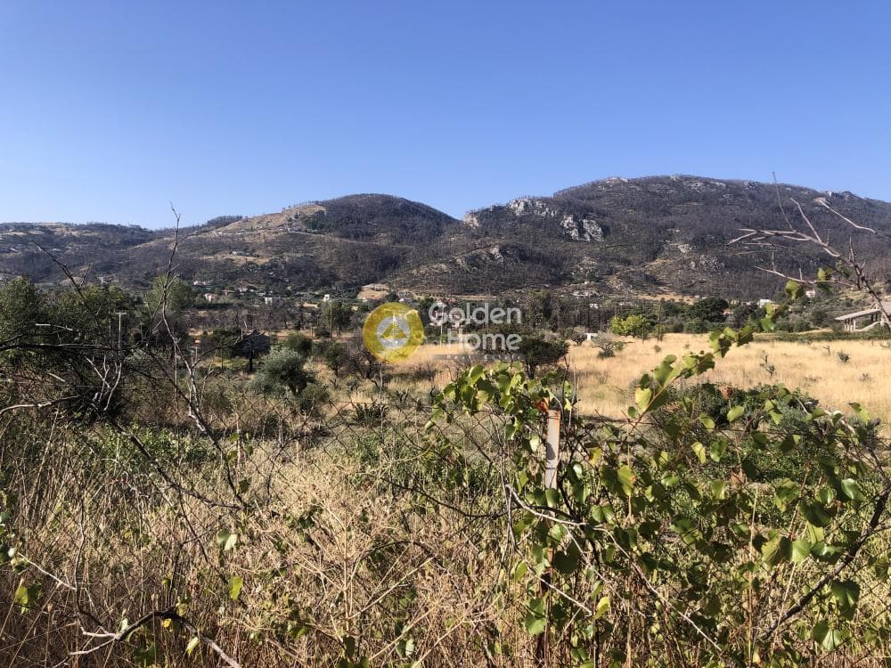 Building Plot in Stathmos Afidnon, Afidnes — Photo 1 of 7