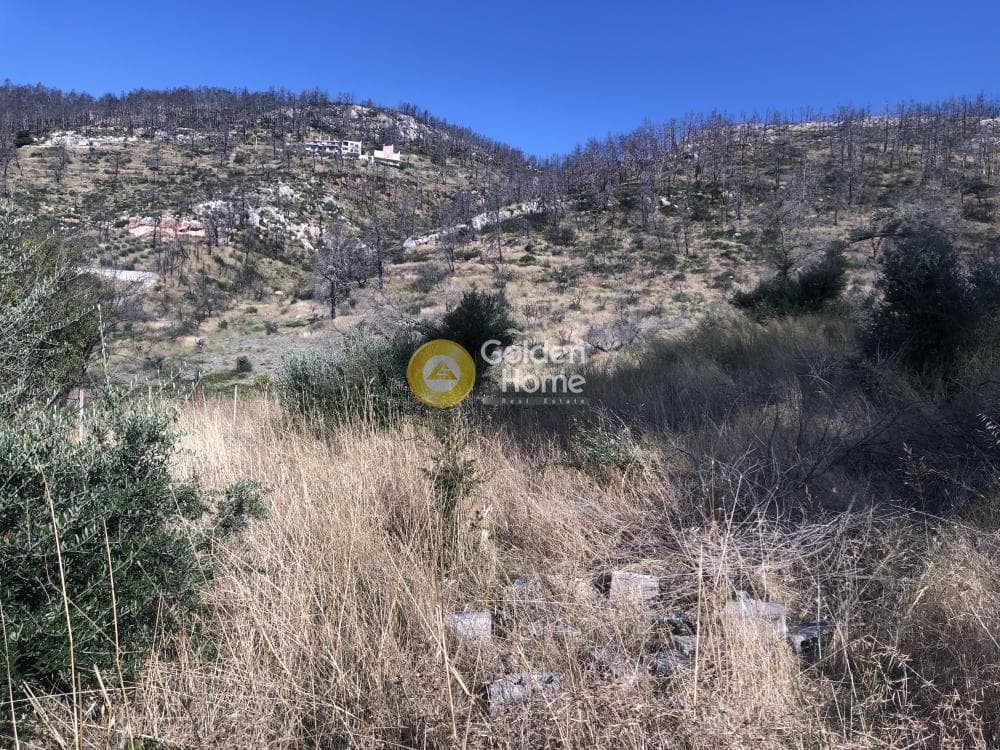 Building Plot in Stathmos Afidnon, Afidnes — Photo 5 of 7
