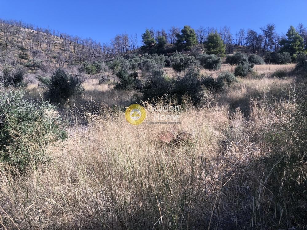 Building Plot in Stathmos Afidnon, Afidnes — Photo 4 of 7