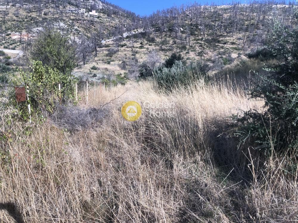 Building Plot in Stathmos Afidnon, Afidnes — Photo 7 of 7