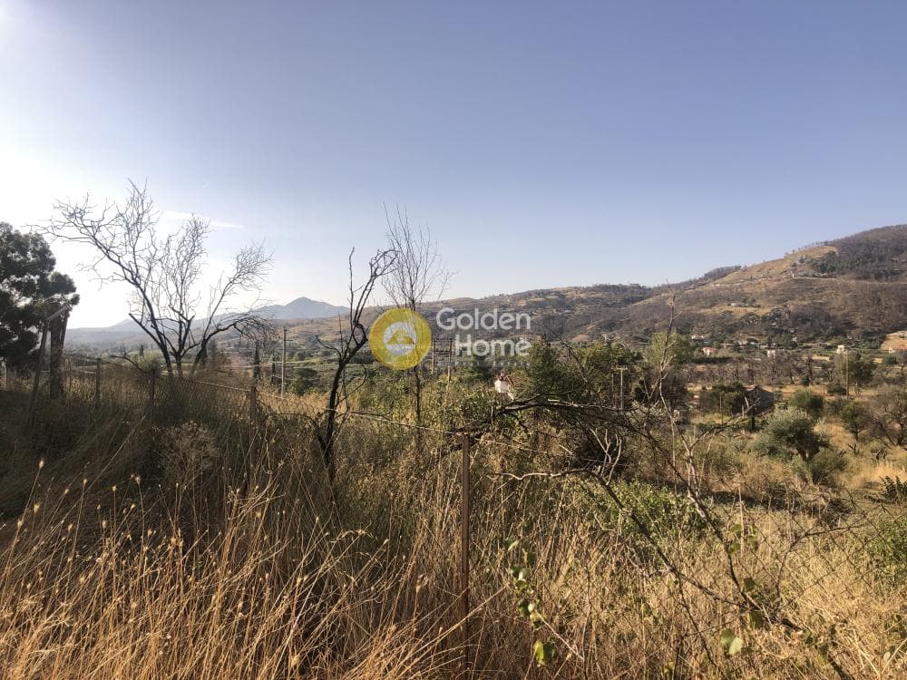 Building Plot in Stathmos Afidnon, Afidnes — Photo 2 of 7