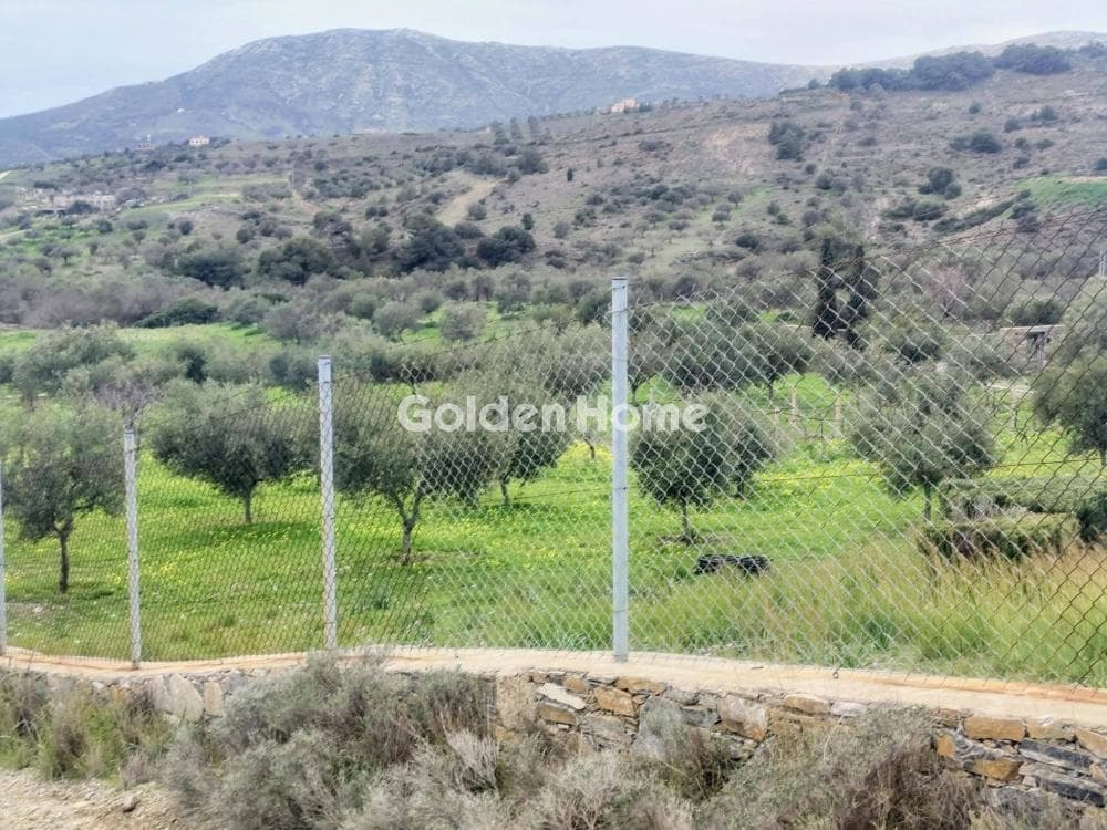 Οικόπεδο στην Ρουντζέρι Λεμπρού, Κερατέα — Φωτογραφία 5 από 6