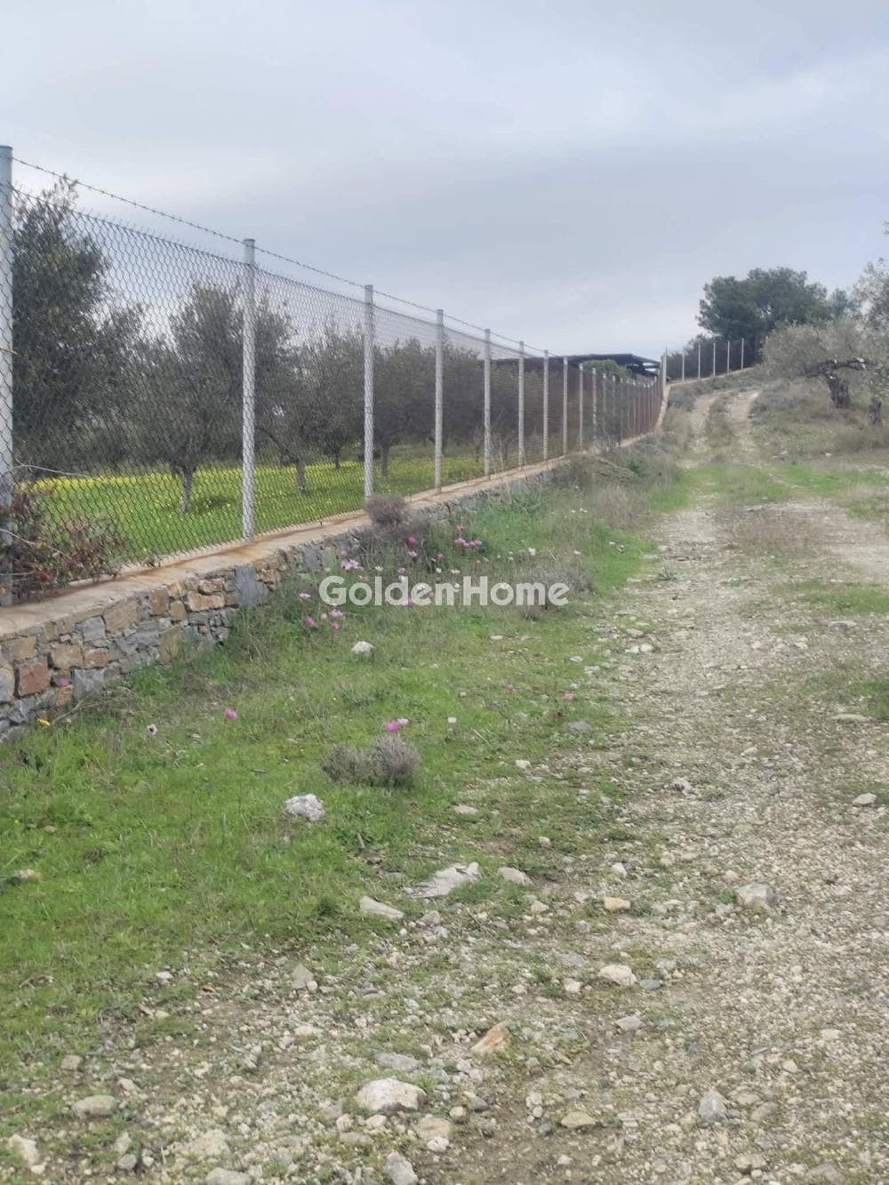 Οικόπεδο στην Ρουντζέρι Λεμπρού, Κερατέα — Φωτογραφία 4 από 6