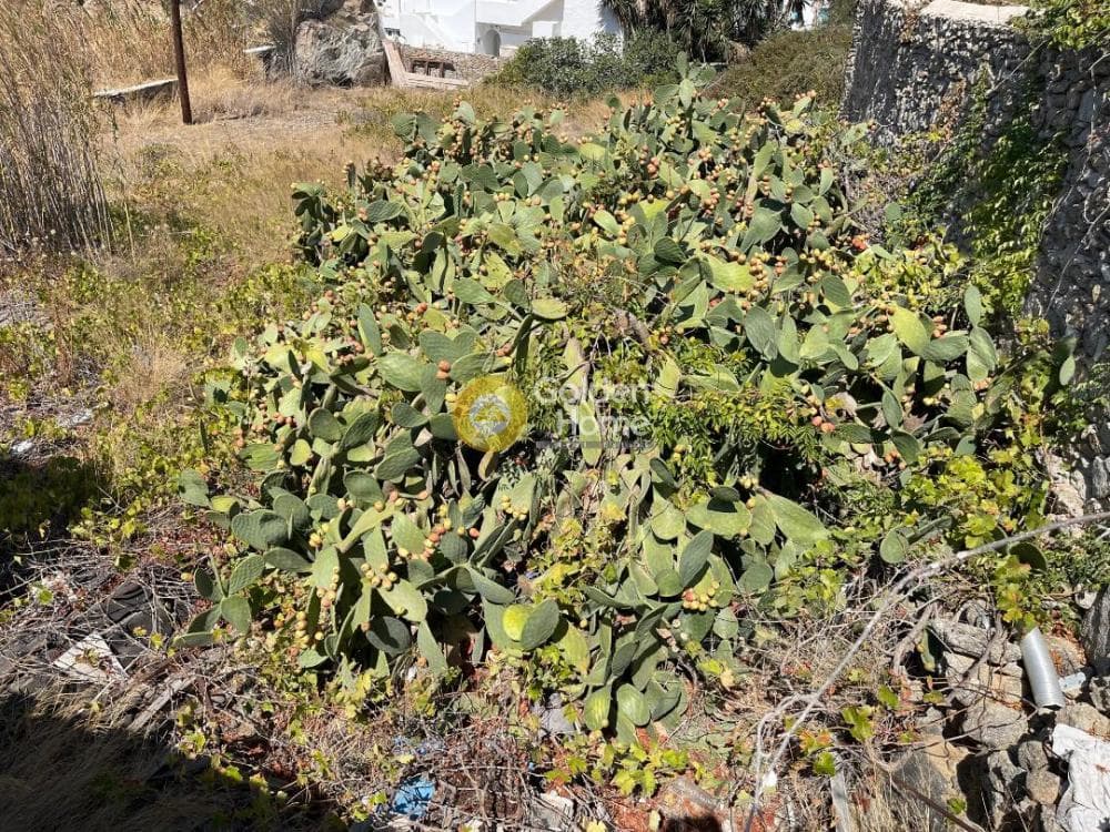 Οικόπεδο στην Κάστρο, Μύκονος