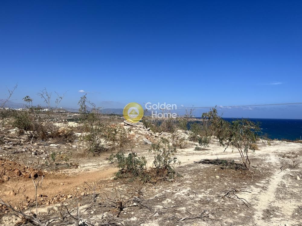 Αγροτεμάχιο στην Σταυρωμένο, Γούβες — Φωτογραφία 2 από 3