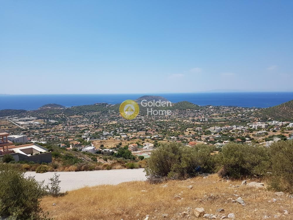 Building Plot in Elaionas, Anavissos — Photo 3 of 4