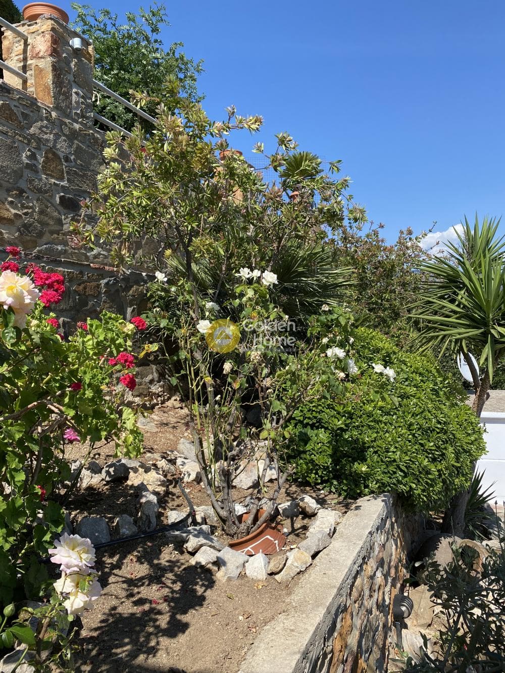 Μονοκατοικία στην Αμάνη, Χίος — Φωτογραφία 20 από 44