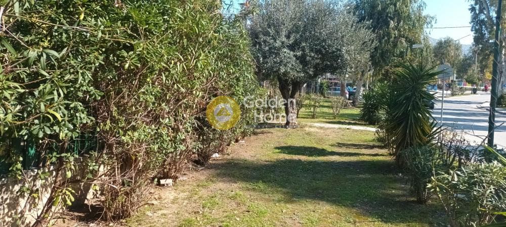 Apartment in Trachones, Alimos — Photo 11 of 11