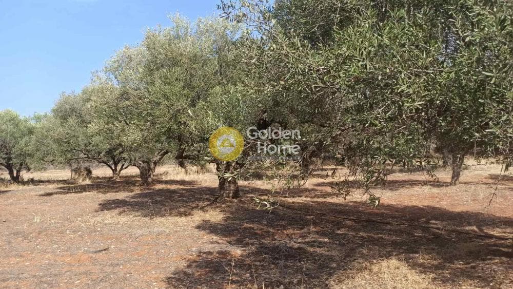Οικόπεδο στην Αγία Πελαγία, Γούβες — Φωτογραφία 1 από 2