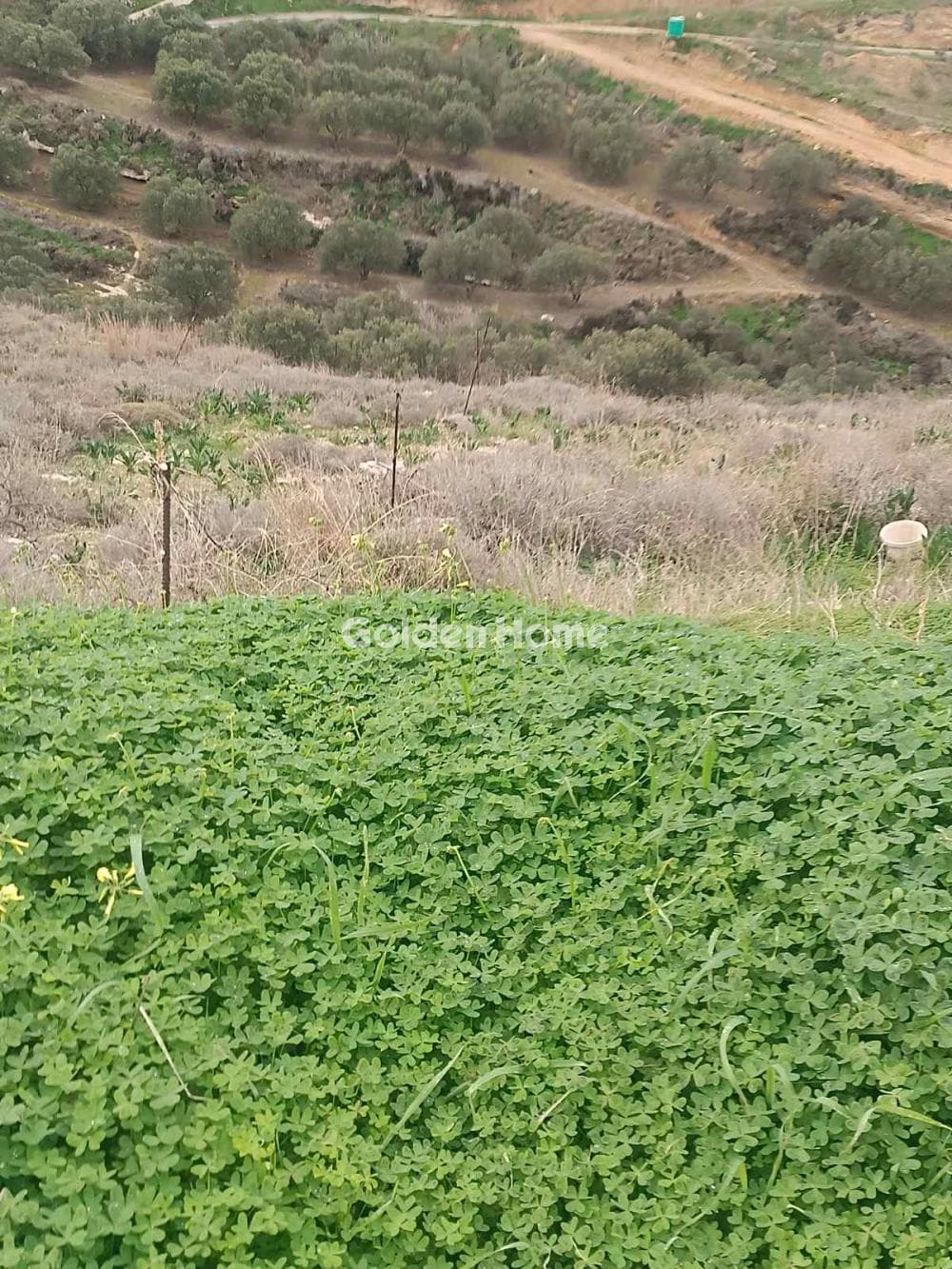 Οικόπεδο στην Βαθειανός Κάμπος, Γούβες — Φωτογραφία 2 από 2