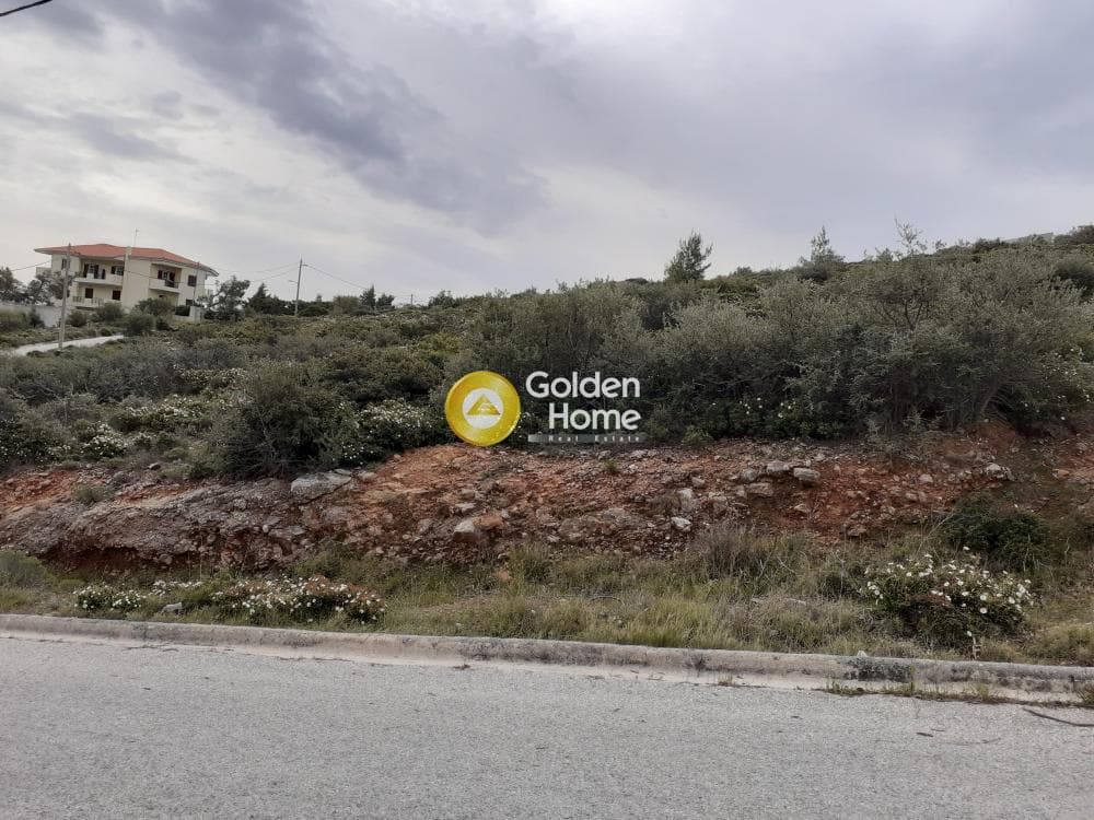 Οικόπεδο στην Ντράφι, Πικέρμι