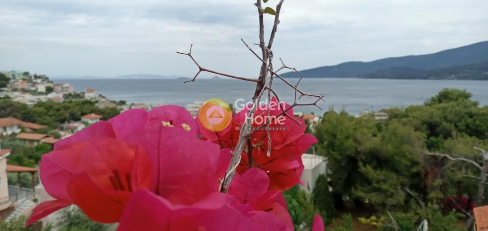 Μονοκατοικία στην Λουτρά Ωραίας Ελένης, Σαρωνικός — Φωτογραφία 12 από 44