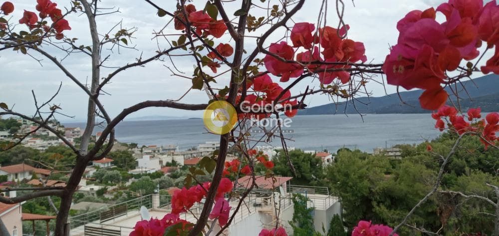 Μονοκατοικία στην Λουτρά Ωραίας Ελένης, Σαρωνικός — Φωτογραφία 13 από 44