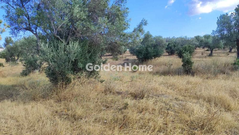 Parcel in Neapoli, Spata — Photo 11 of 13