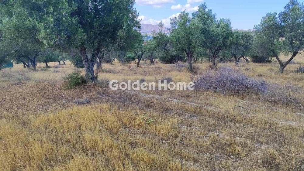 Parcel in Neapoli, Spata — Photo 7 of 13