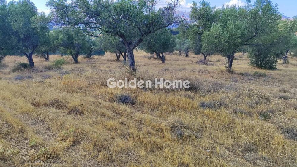 Parcel in Neapoli, Spata — Photo 12 of 13