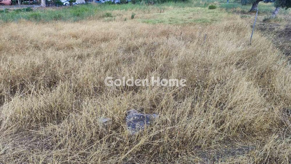 Parcel in Neapoli, Spata — Photo 9 of 13