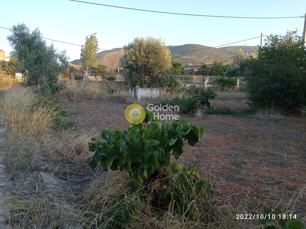 Μονοκατοικία στην Κεφλαίικα, Καλύβια Θορικού — Φωτογραφία 2 από 6